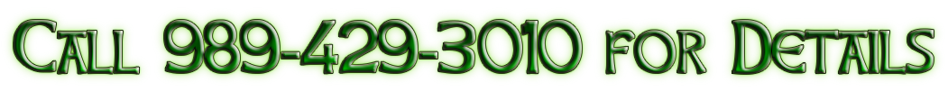 Call 989-429-3010 for Tree Service Details